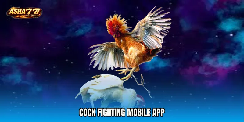 Cock Fighting mobile app