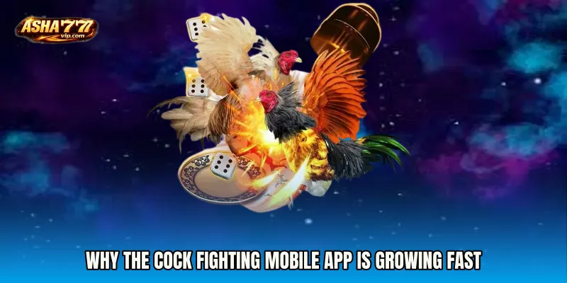 Why the Cock Fighting mobile app Is Growing Fast